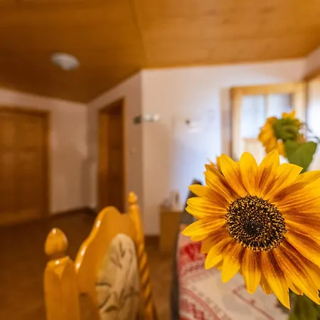 Guest house Jas Zuberec